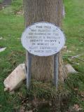 image of grave number 125134